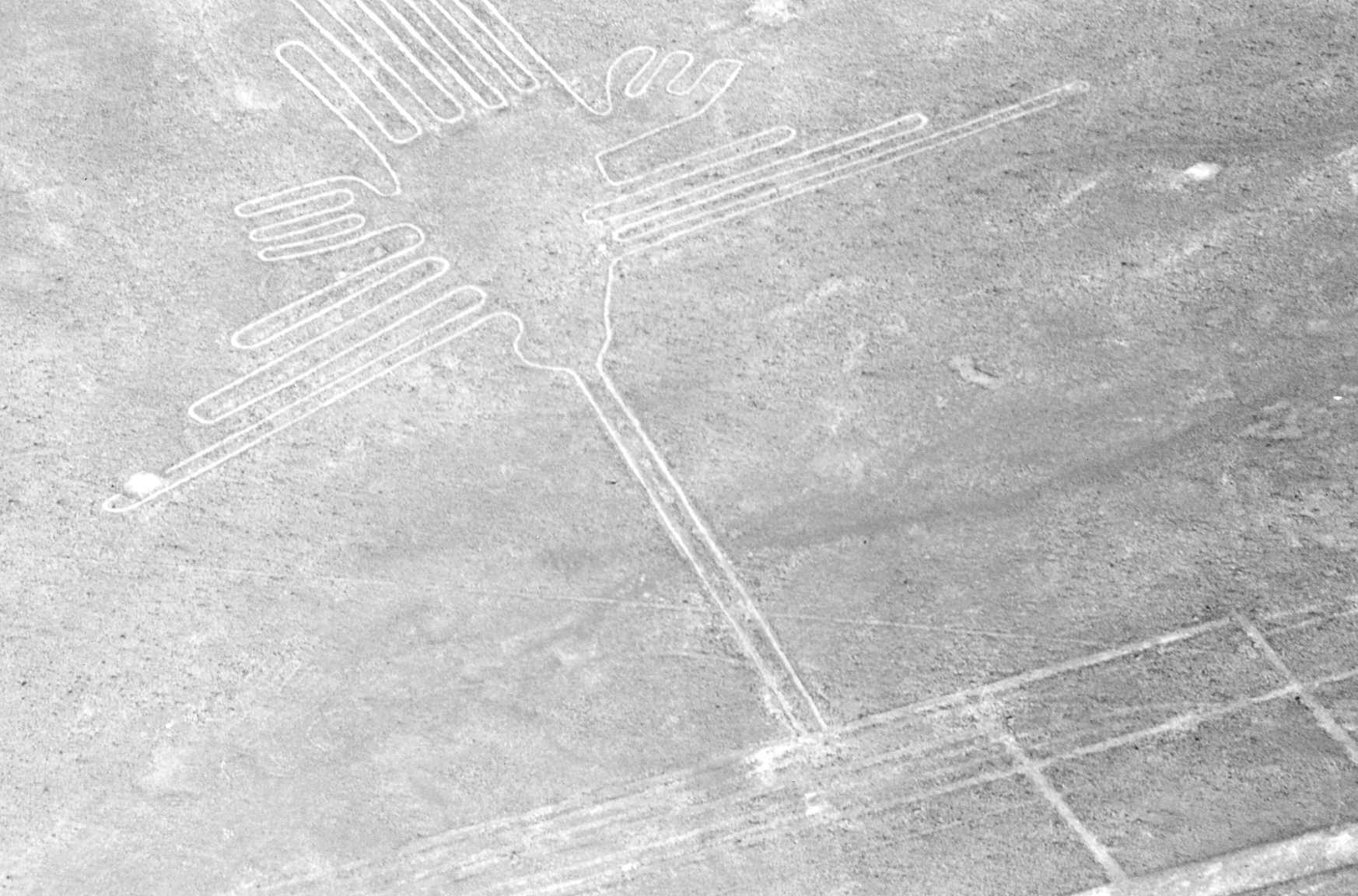Nazca_lines_bird.jpg