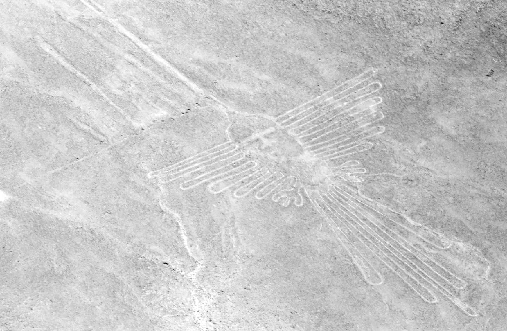 Nazca_lines_hummingbird.jpg