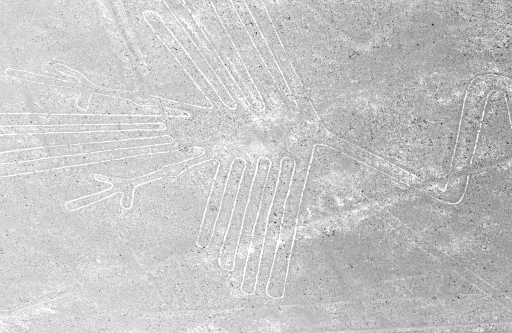 Nazca_lines_stork.jpg