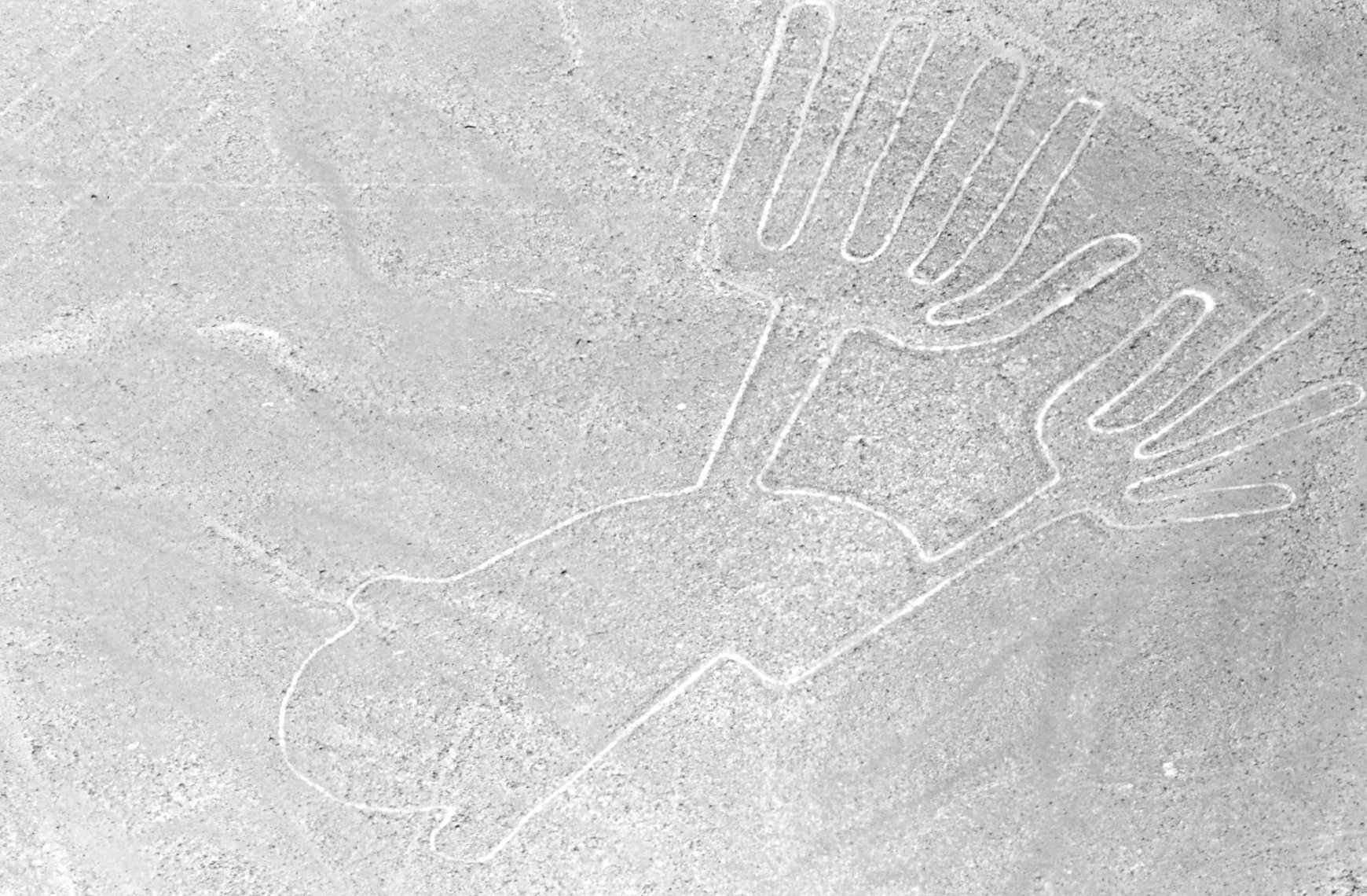 Nazca_lines_whale.jpg